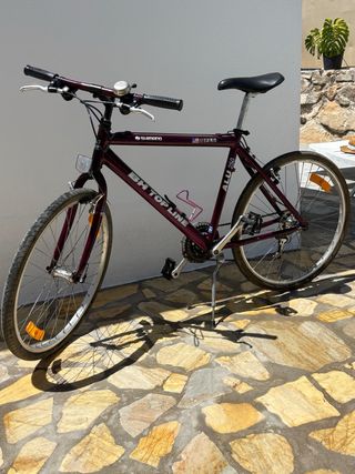 Bicicleta BH Top Line Alu 250