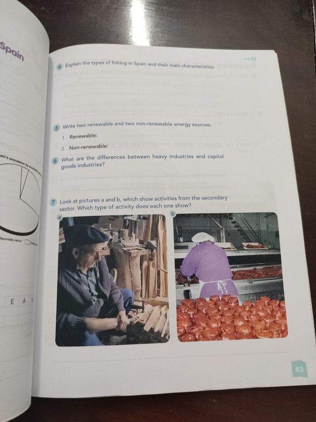 Social Science 6. Activity Book.