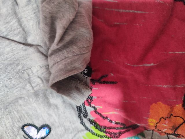 Camiseta Desigual manga larga gris