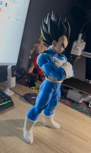 Figura Vegeta 3D Impresa
