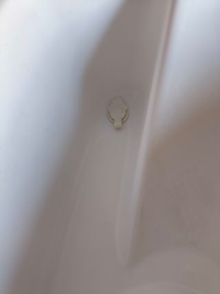 Bañera bebé Winnie Pooh c/patas