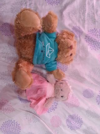2 peluches tiernos: oso y conejita