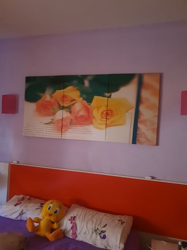 Cuadro tríptico flores - Rosa y amarillo