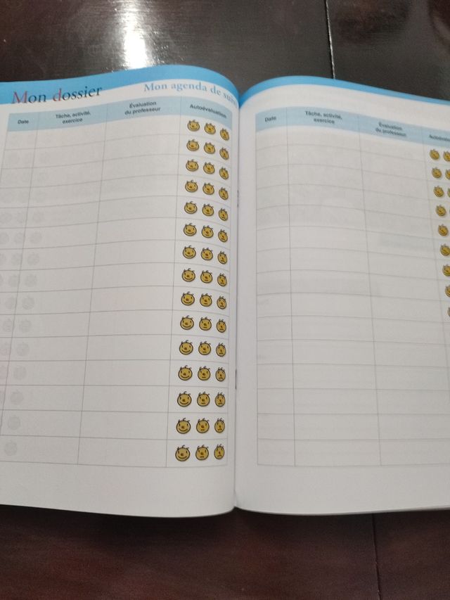 Libro Francés Anaya: Motivos! Portfolio I