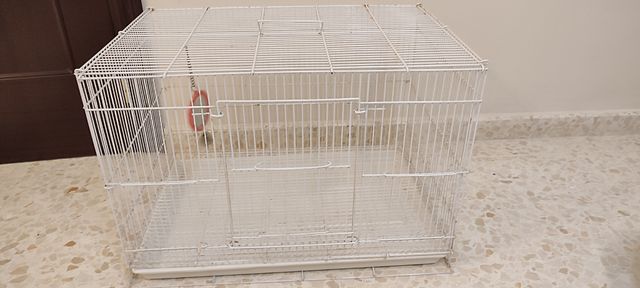 Jaula pajaros grande blanca