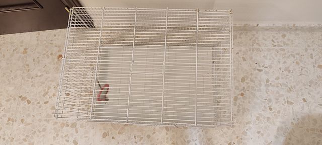 Jaula pajaros grande blanca