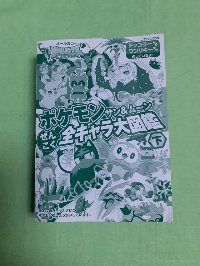 Guida Pokémon: Personaggi Japan Ed