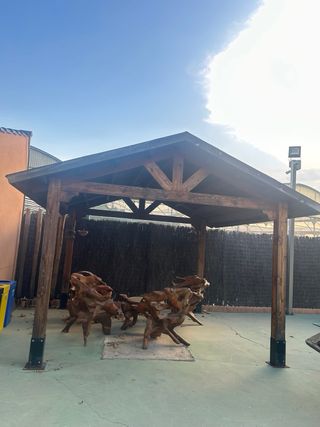 Conjunto jardín mesa y  4 sillones de raiz teka