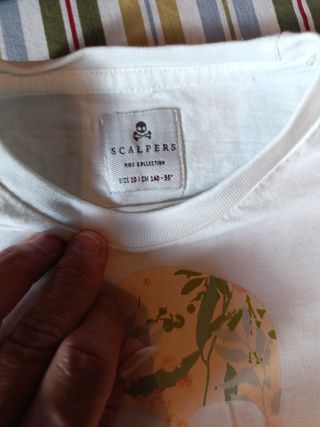 Conjunto top+shorts blanco y azul