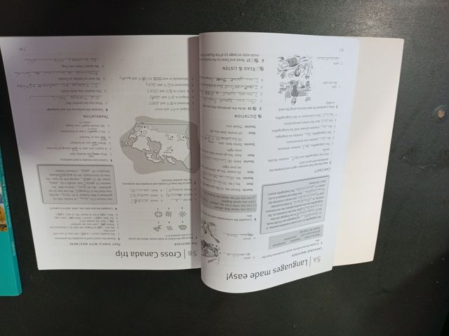 STRAIGHTForwardD Elem Sb Pk