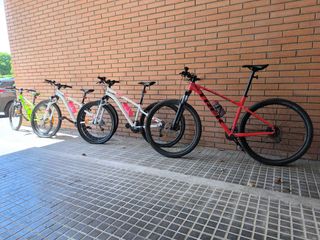 Bicicleta montaña Trek 29" y tres de decathlon. 