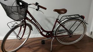 Bicicleta clásica mujer