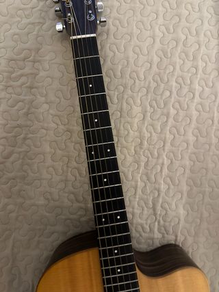 Chitarra acustica Martin DCX1AE Macassar