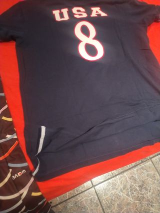 Polo Tommy Hilfiger L - EEUU