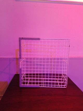 Cesta lavavasos  favor bar 40x40cm