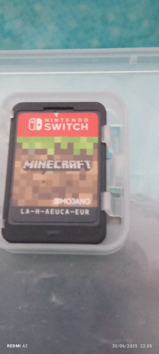 Minecraft Nintendo Switch