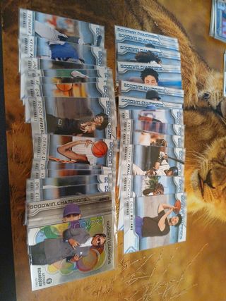 Cromos Goodwin Champions