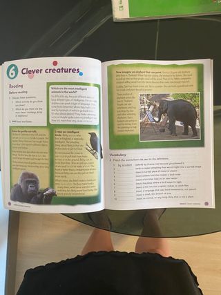 Oxford Primary Skills 5. Skills Book