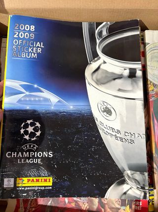 Álbumes Panini Real Madrid 2006-07 & Champions Lea
