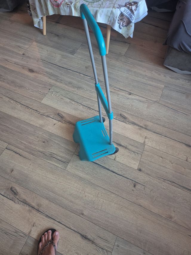 Carro mochila plegable