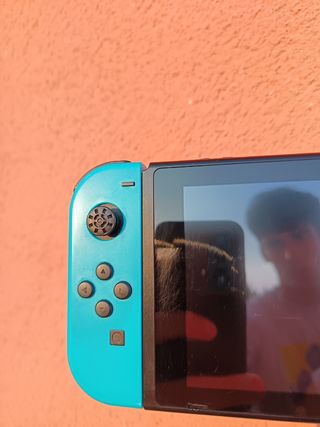 Nintendo Switch Normal