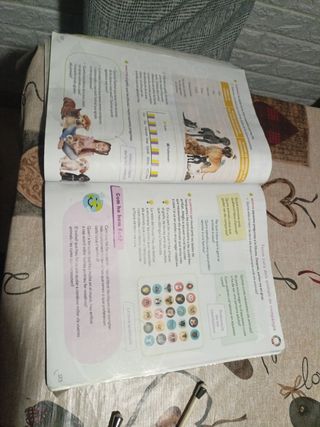 MATEMATIQUES 3 PRIMARIA CONSTRUINT MONS