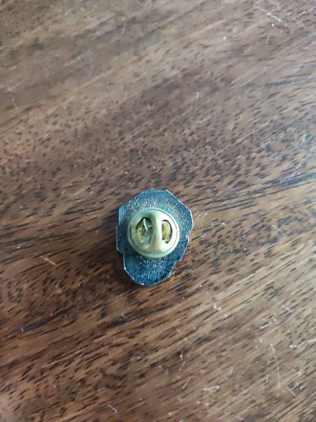 Pin ACTV - Disco - Plata y Negro