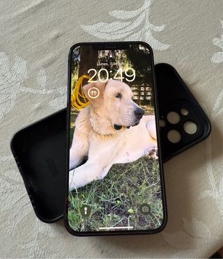 iPhone 12 Pro Max 256GB - Azul