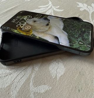 iPhone 12 Pro Max 256GB - Azul