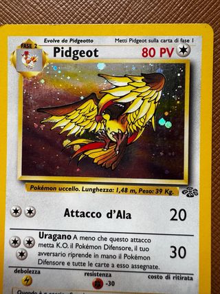 Carta Pokémon Pidgeot old
