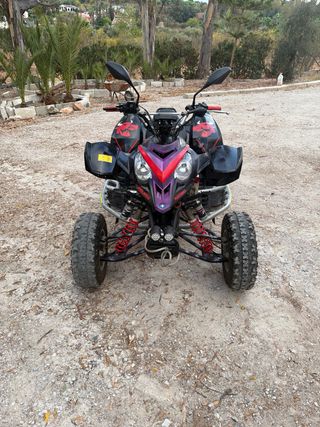 Quad Polaris Predator 500