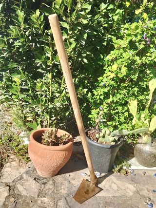 Azada: herramienta de jardinería.marca bellota.