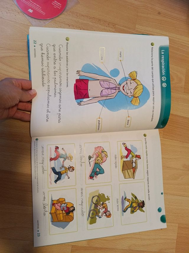 Educacion Fisica 2º Primaria