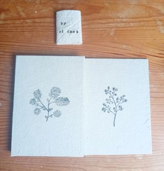 Álbum mini by el caos,
