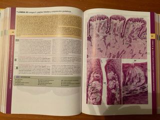 Libro Histología Ross - Pawlina