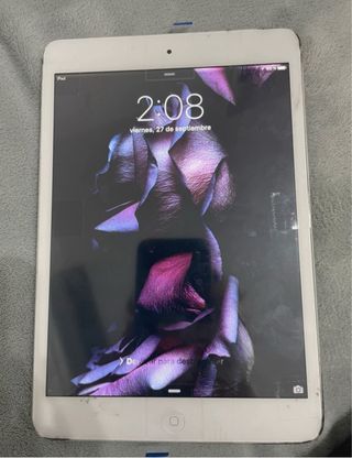 iPad mini