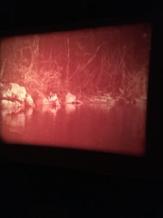 El Rey de los Gorilas, largometraje super 8