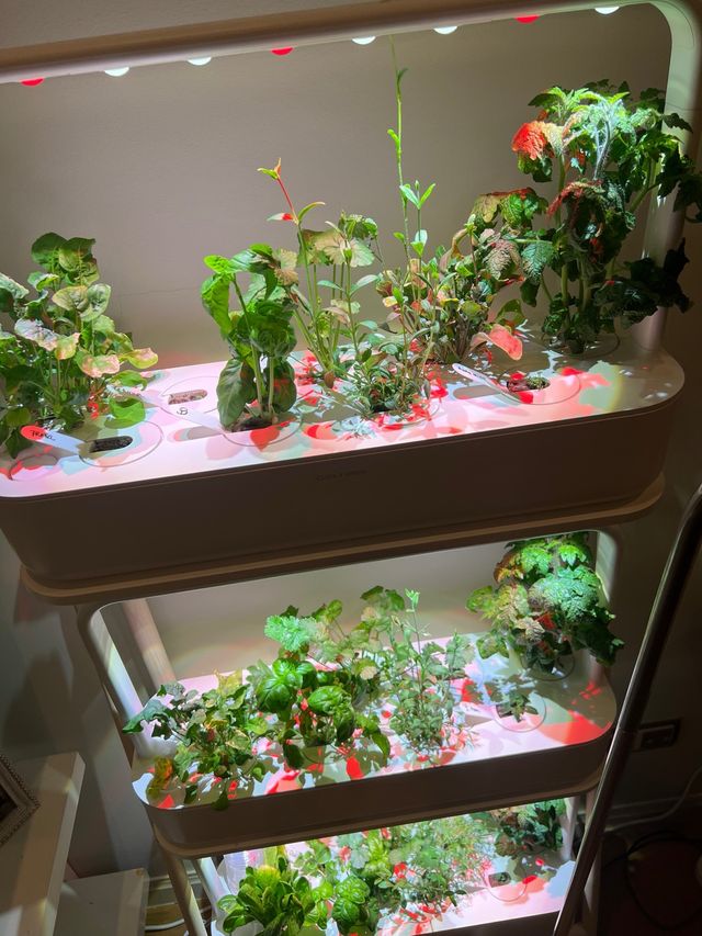 Click & Grow Smart Garden 27