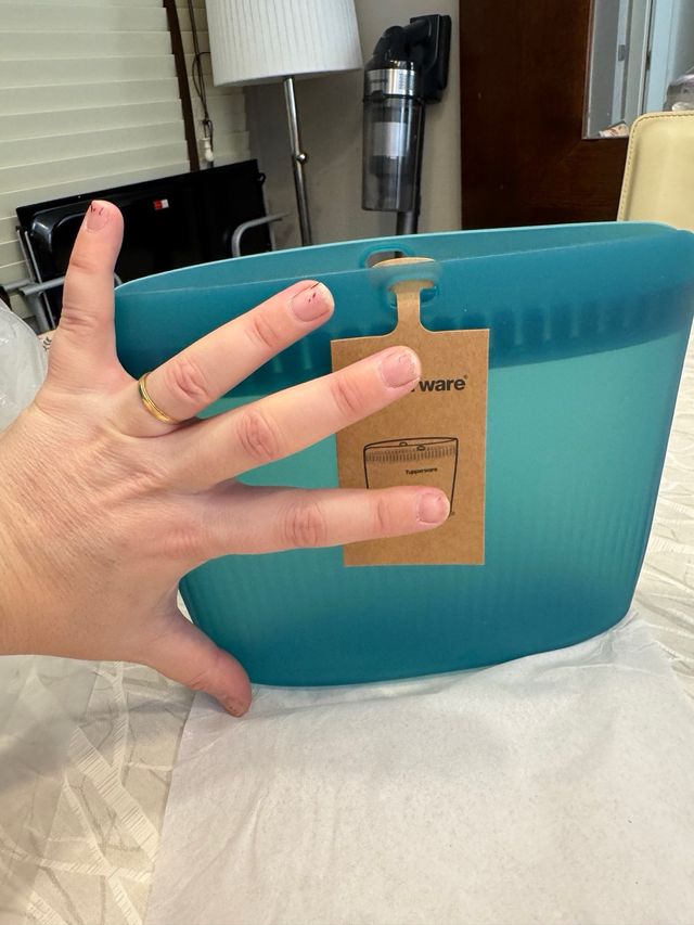 Tupperware Teal - Recipiente hermético