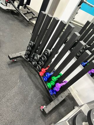 Soporte mancuernas gimnasio y lote de mancuernas