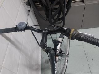 Bicicleta paseo Di Terzo