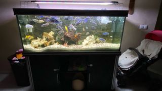 Acuario 400L completo con mueble + 3 filtros + oxigenador + extra