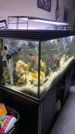 Acuario 400L completo con mueble + 3 filtros + oxigenador + extra