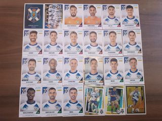 Cromos Tenerife Liga Hypermotion 24-25 Panini