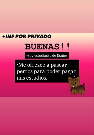 Paseo perros - Trabajo