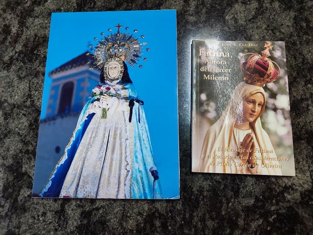 Imagen de virgen y libro Virgen Fátima