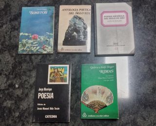 Libros poesía: Rimas, Sonetos