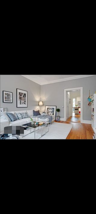 PINTURA GENERAL Y REPARACIÓN