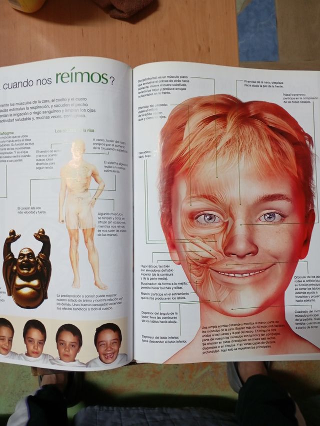 Buenas colección de 19 libros de deferentes temas