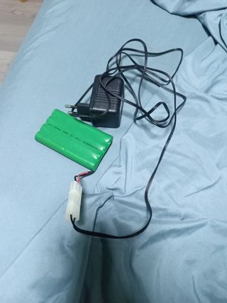 Coche teledirigido Raybrig